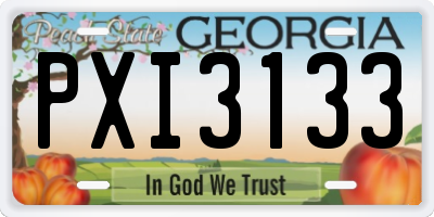GA license plate PXI3133