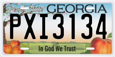 GA license plate PXI3134