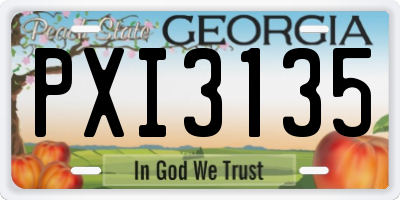 GA license plate PXI3135