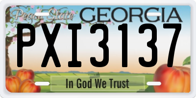 GA license plate PXI3137