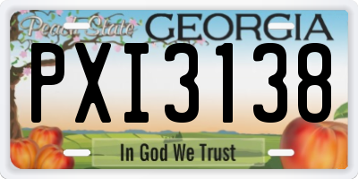 GA license plate PXI3138