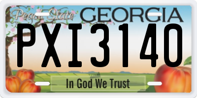 GA license plate PXI3140