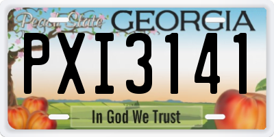 GA license plate PXI3141