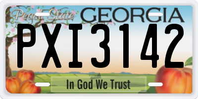 GA license plate PXI3142