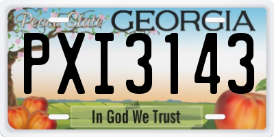 GA license plate PXI3143