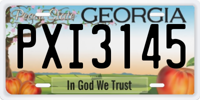 GA license plate PXI3145