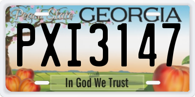 GA license plate PXI3147