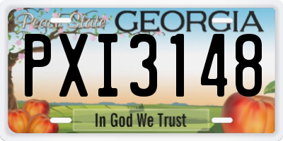 GA license plate PXI3148