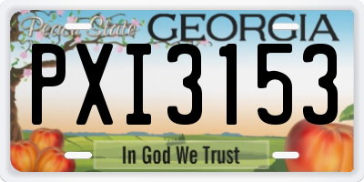 GA license plate PXI3153