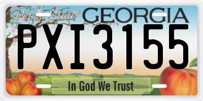 GA license plate PXI3155