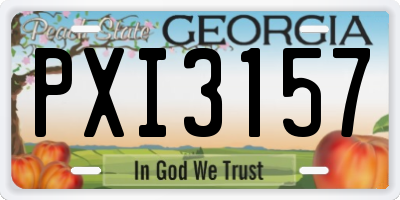 GA license plate PXI3157