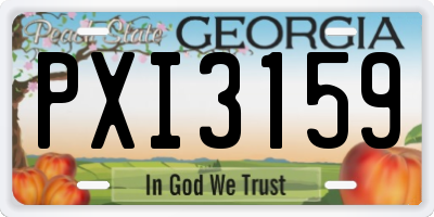 GA license plate PXI3159