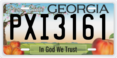 GA license plate PXI3161