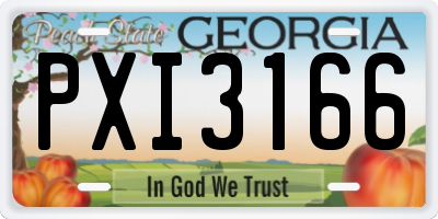 GA license plate PXI3166