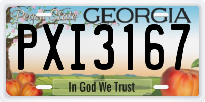 GA license plate PXI3167