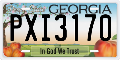 GA license plate PXI3170