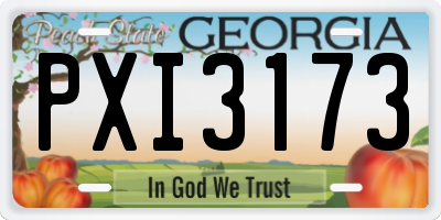 GA license plate PXI3173