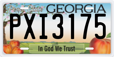 GA license plate PXI3175