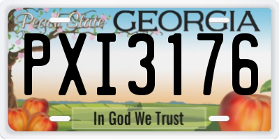GA license plate PXI3176