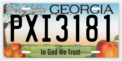 GA license plate PXI3181