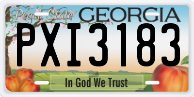 GA license plate PXI3183