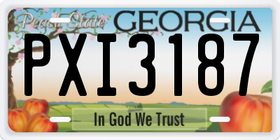 GA license plate PXI3187