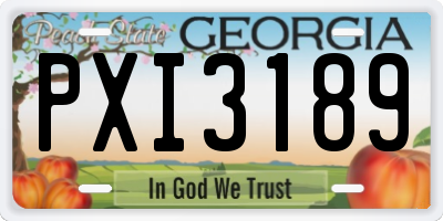 GA license plate PXI3189