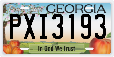 GA license plate PXI3193