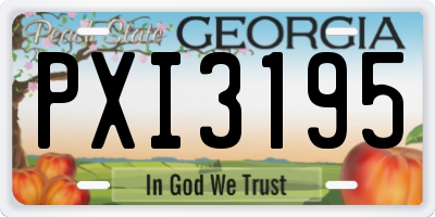 GA license plate PXI3195
