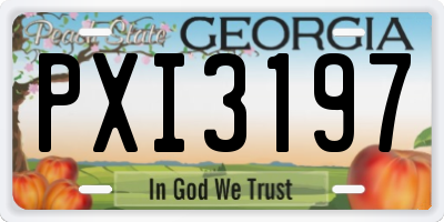 GA license plate PXI3197