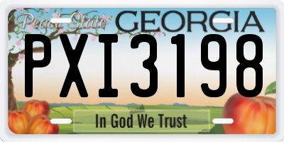 GA license plate PXI3198