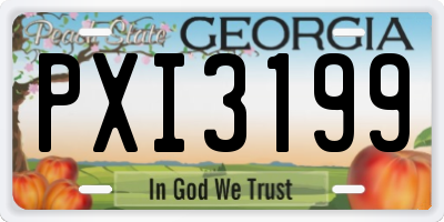 GA license plate PXI3199