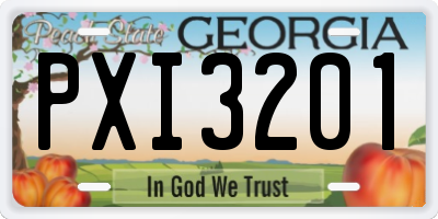 GA license plate PXI3201