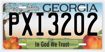 GA license plate PXI3202