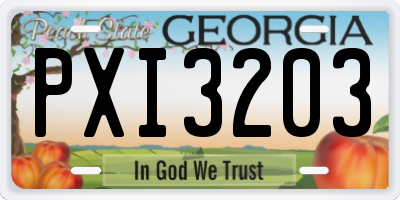 GA license plate PXI3203