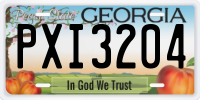 GA license plate PXI3204