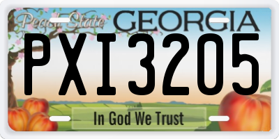 GA license plate PXI3205