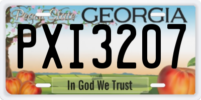 GA license plate PXI3207