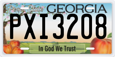 GA license plate PXI3208