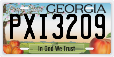 GA license plate PXI3209