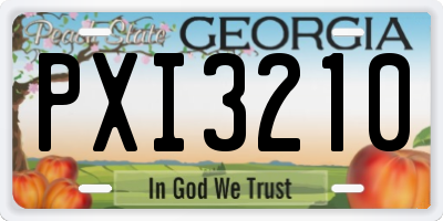 GA license plate PXI3210