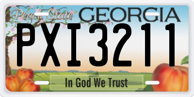 GA license plate PXI3211