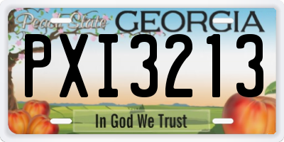 GA license plate PXI3213
