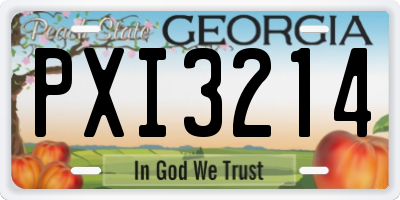 GA license plate PXI3214