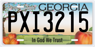 GA license plate PXI3215
