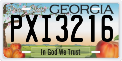 GA license plate PXI3216
