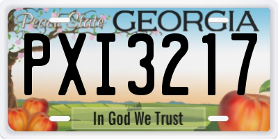 GA license plate PXI3217