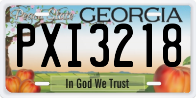 GA license plate PXI3218