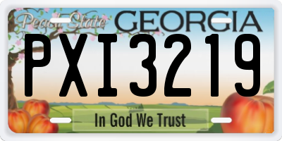 GA license plate PXI3219