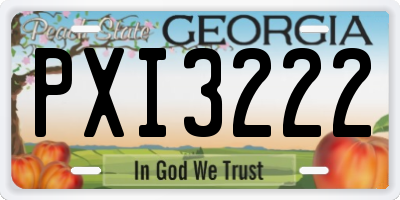 GA license plate PXI3222